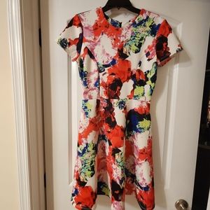Milly for Design Nation size 4 dress floral